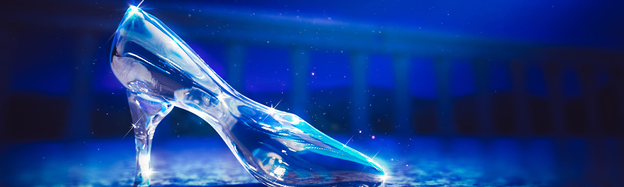 Glass Slipper Princess